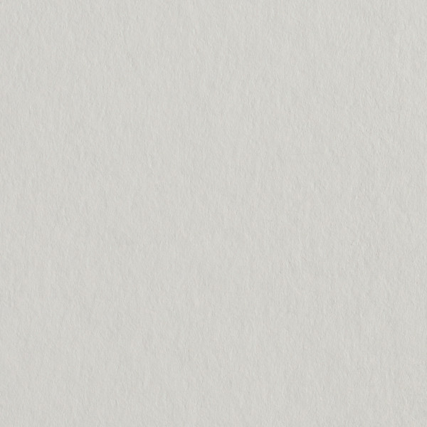 Erfurt Variovlies 25 x 0,75m