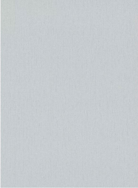 Erismann 1007231 Tapete Vlies 10,05 x 0,53m Uni hellgrau