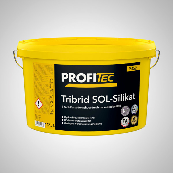 PT P452 Hybrid-SOL Silikat 12,5l, weiss