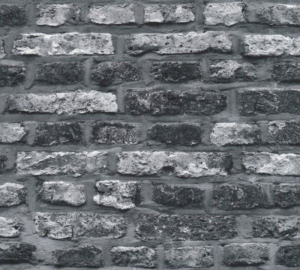A.S. Création Il Decoro 362812 Vlies Grau Schwarz