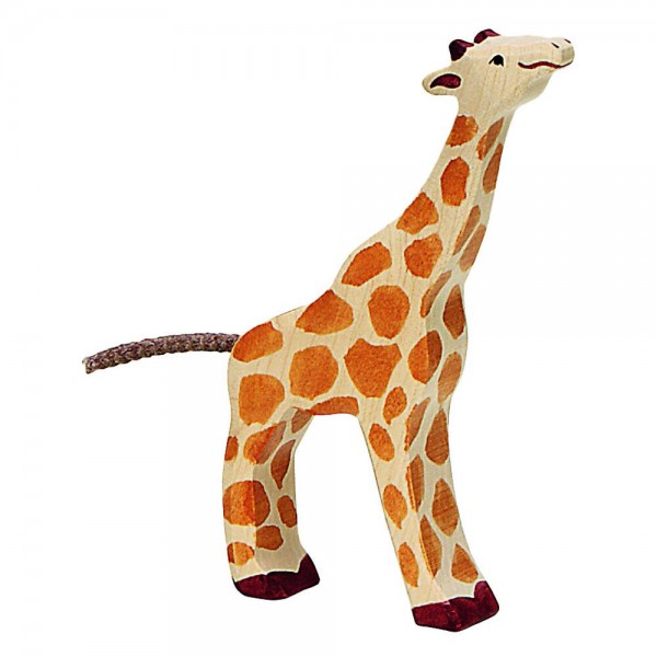 Giraffe, klein, fressend