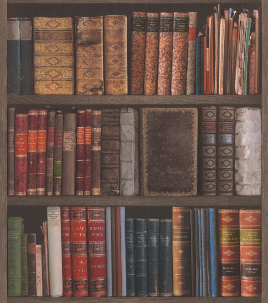 Rasch Selection Büchertapete 934809