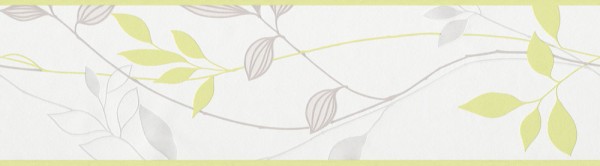 A.S. Création Only Borders 10 249623 Vlies Creme Grau Grün