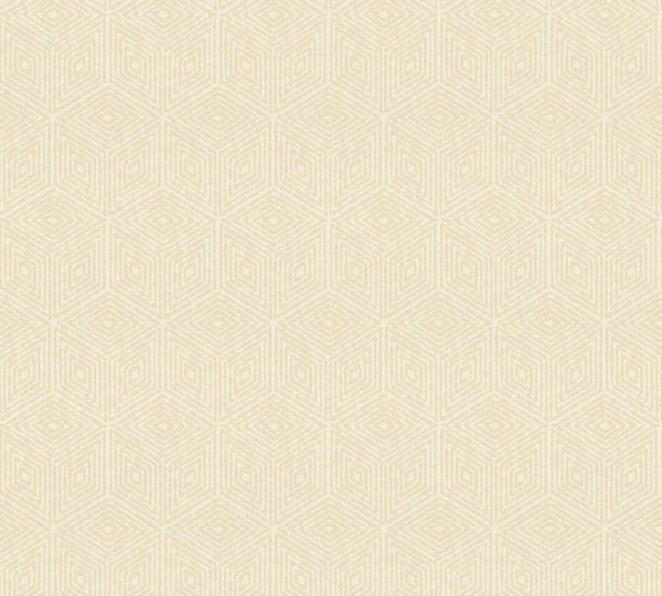 A.S. Création Di Seta 366672 Vlies Beige Braun