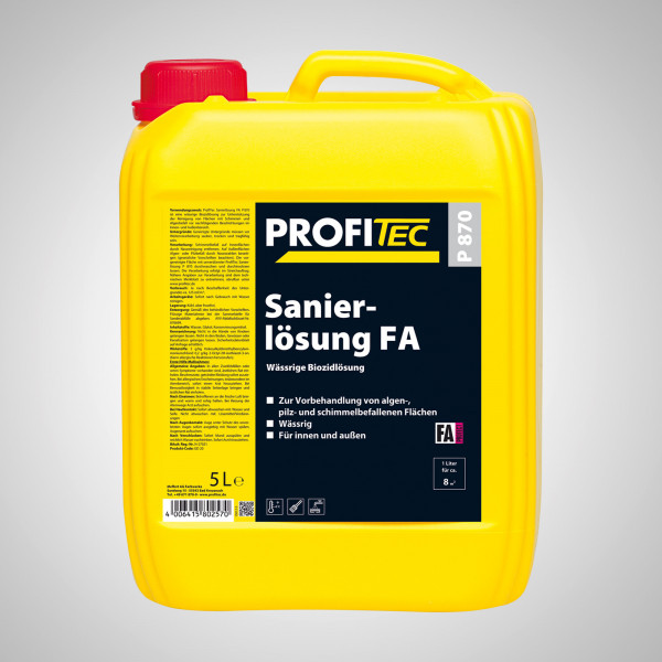 PT P870 FA Sanierlösung 5l