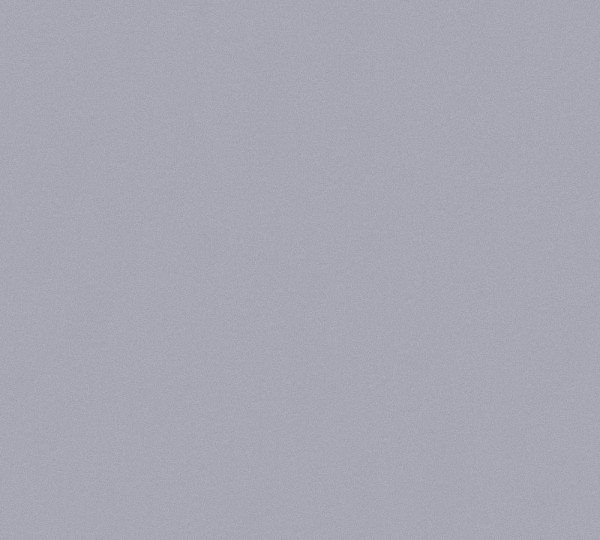 A.S. Création Dream Again 365042 Vlies Grau