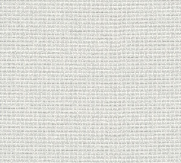A.S. Création Meistervlies 2020 167415 Vlies Weiß Überstreichbar