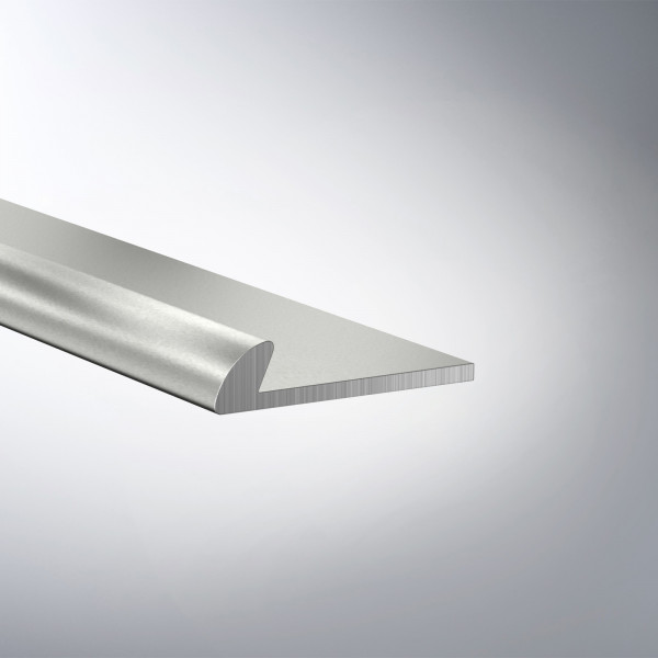 Abschluss - 357 - silber / 250cm